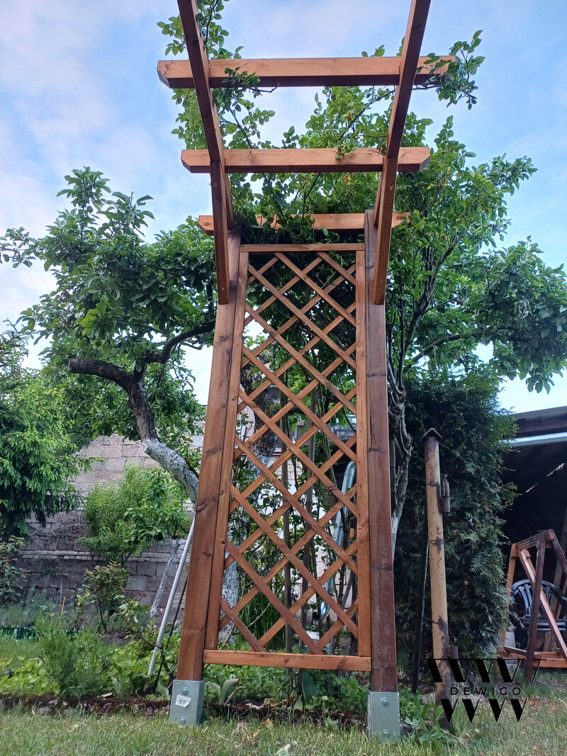 Pergola klasyczna – widok od dołu
