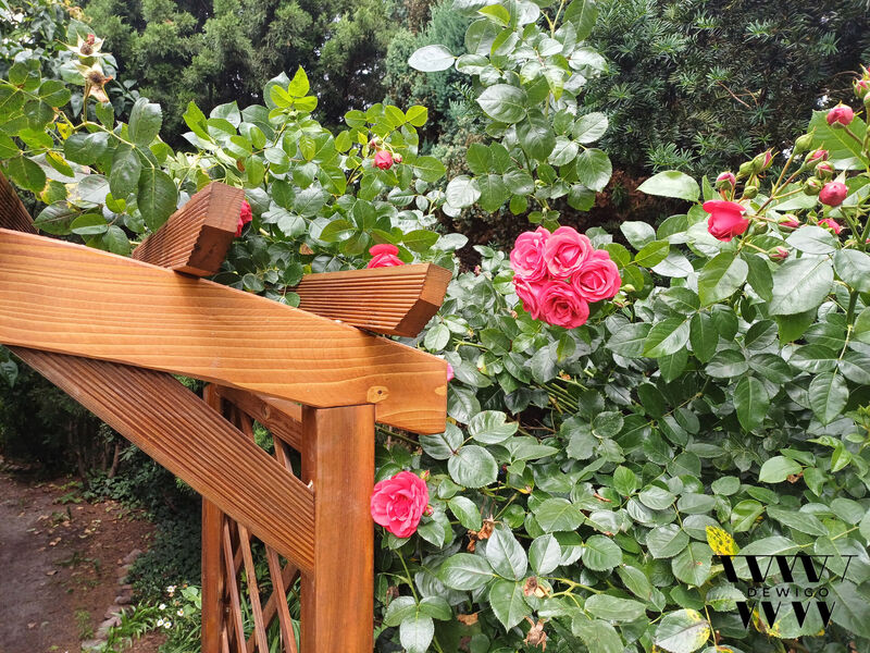 Pergola łukowa – detal
