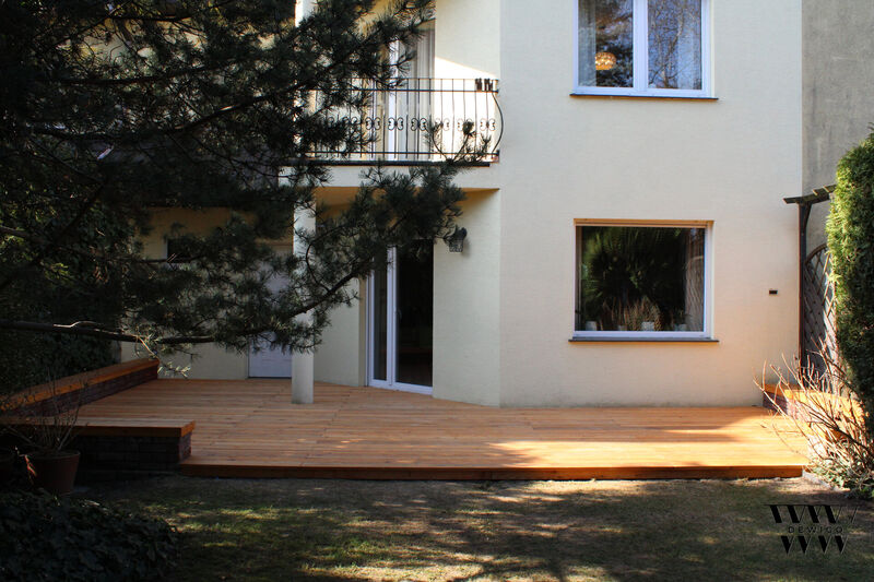 Taras modrzew – widok ogólny