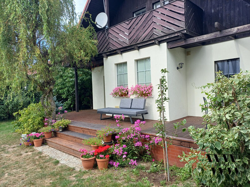 Taras sosna – widok ogólny
